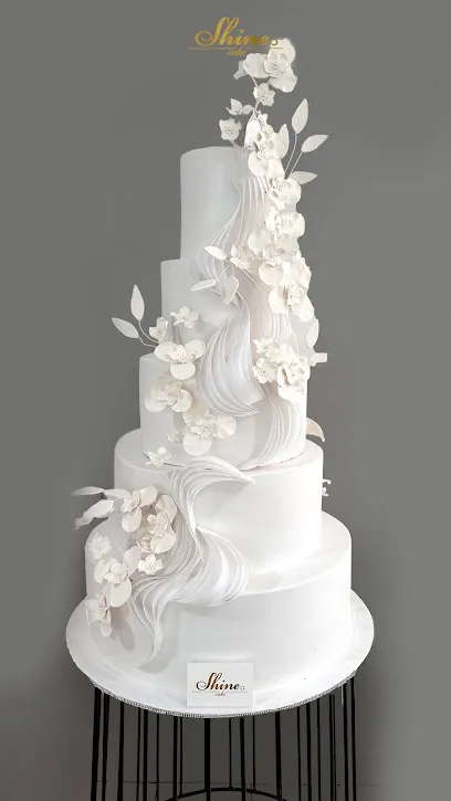 Shine Cake